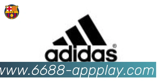 6688体育合作伙伴